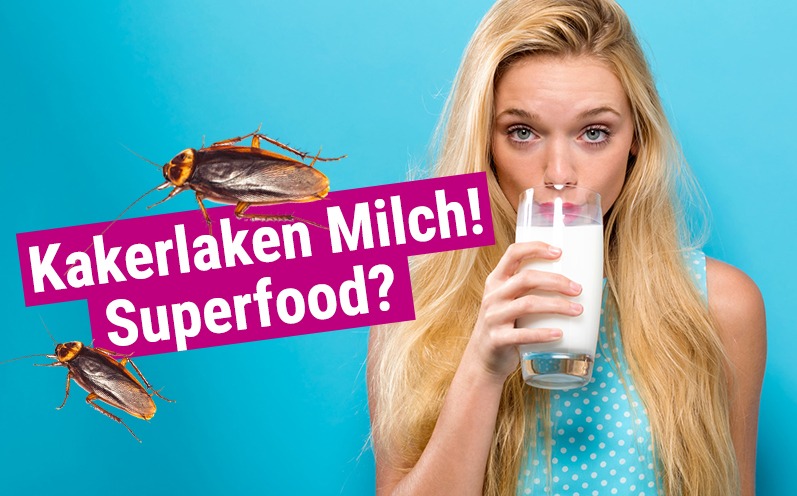 Kakerlaken-Milch: Das kann das neue Superfood!