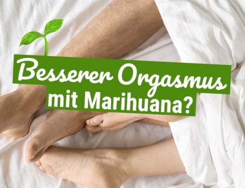 Sex-Studie belegt: Besserer Orgasmus mit Marihuana