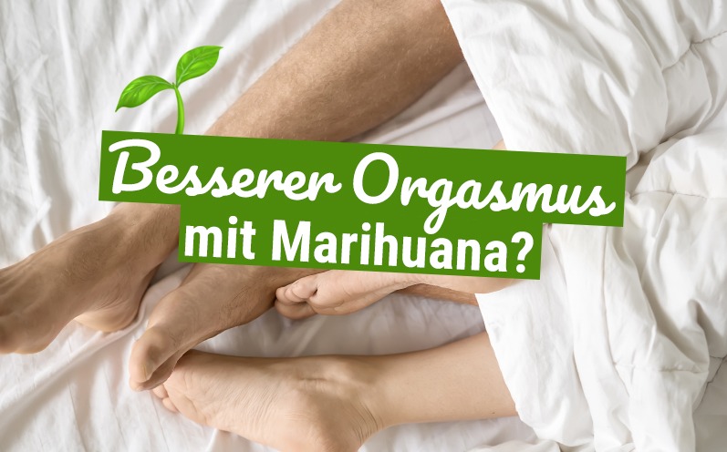 Sex-Studie belegt: Besserer Orgasmus mit Marihuana