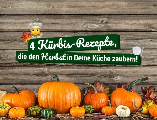 4 Kürbis-Rezepte, die den Herbst in Deine Küche zaubern!